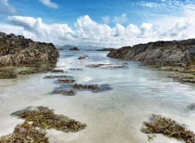 A serene sandy beach with calm waves, surrounded by grassy dunes under a bright blue sky, located on Inishbofin Island, Connemara, County Galway.