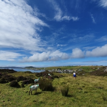 A scenic view of Knock Hill on Inishbofin Island, County Galway, featuring lush green hills, scattered rocks, and a cloudy sky in the background.