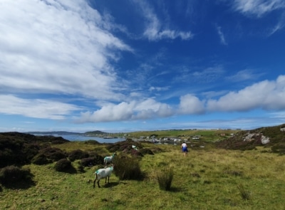 A scenic view of Knock Hill on Inishbofin Island, County Galway, featuring lush green hills, scattered rocks, and a cloudy sky in the background.