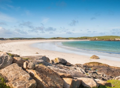 beachdogsbay
