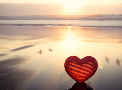 A coastal hotel overlooking the sea with a rocky shoreline, featuring a quaint garden, tall trees, and clear blue skies in the background.