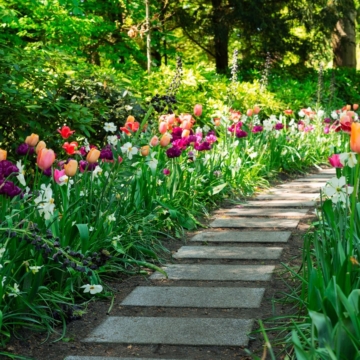 A luxurious hotel room with a large bed, elegant decor, and a window offering a stunning view of the sea and mountainous landscape.