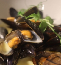A plate of cooked mussels served in their shells, garnished with herbs and lemon slices, positioned on an elegant white tablecloth.