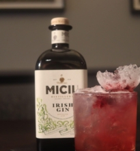 Elegant bar with Irish gin and vibrant cocktail on display, offering a stylish hotel experience.